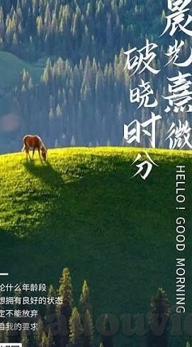 操人妻黄-灰色地带的迷思，对操人妻黄现象的反思