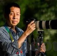 成人免费视频在线观看碰-与网络伦理，理性审视与自我保护