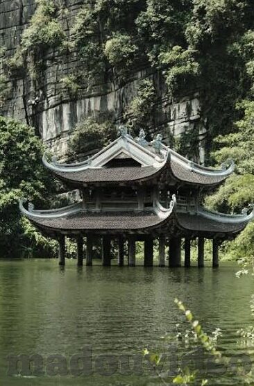 大象传媒大片免费看-探索大象传媒，免费观影的奇妙之旅