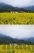 老汉av麻豆-岁月的影像，老汉的故事与时代的麻豆