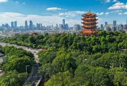 麻豆国产成人av在线-网络时代的异流探索，麻豆国产成人av在线的文化现象与思考