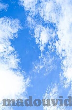 糖心app免费版直播-探索糖心APP免费版直播的多样魅力与稳健前行之路
